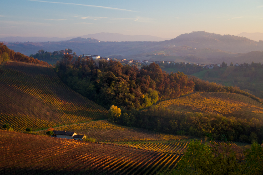 Agriturismi, bene il 2016: +7% la domanda, il 26% arriva da turisti stranieri
